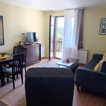 Sunny Days Apartman Kopaonik Eksteriør billede