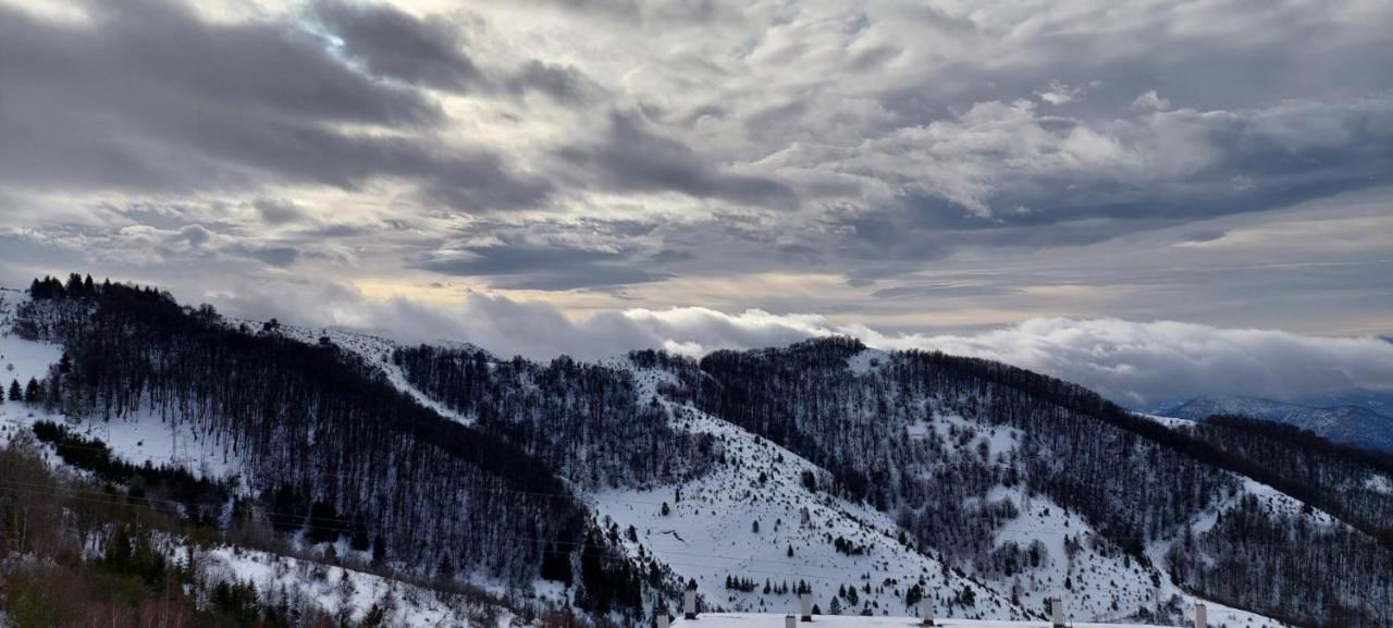 Sunny Days Apartman Kopaonik Eksteriør billede